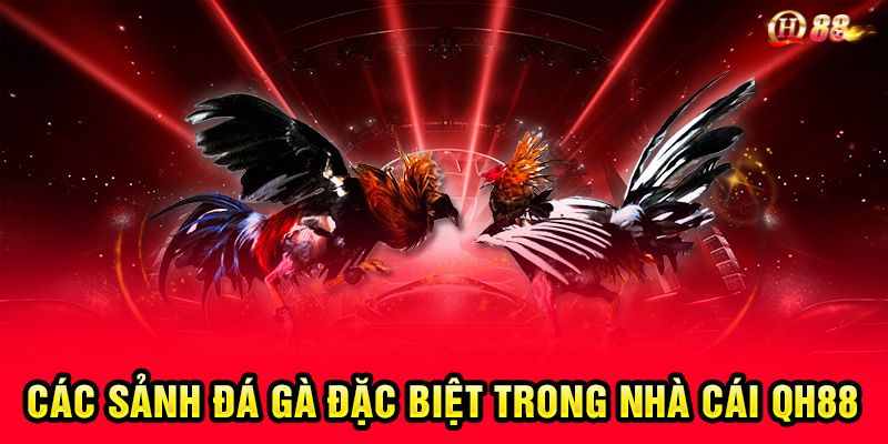 Top các sảnh cược đá gà uy tín nhất